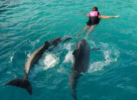 Islands of the Bahamas [The Bahamas]