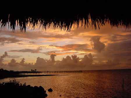 Views of Key West [Key West, Florida]